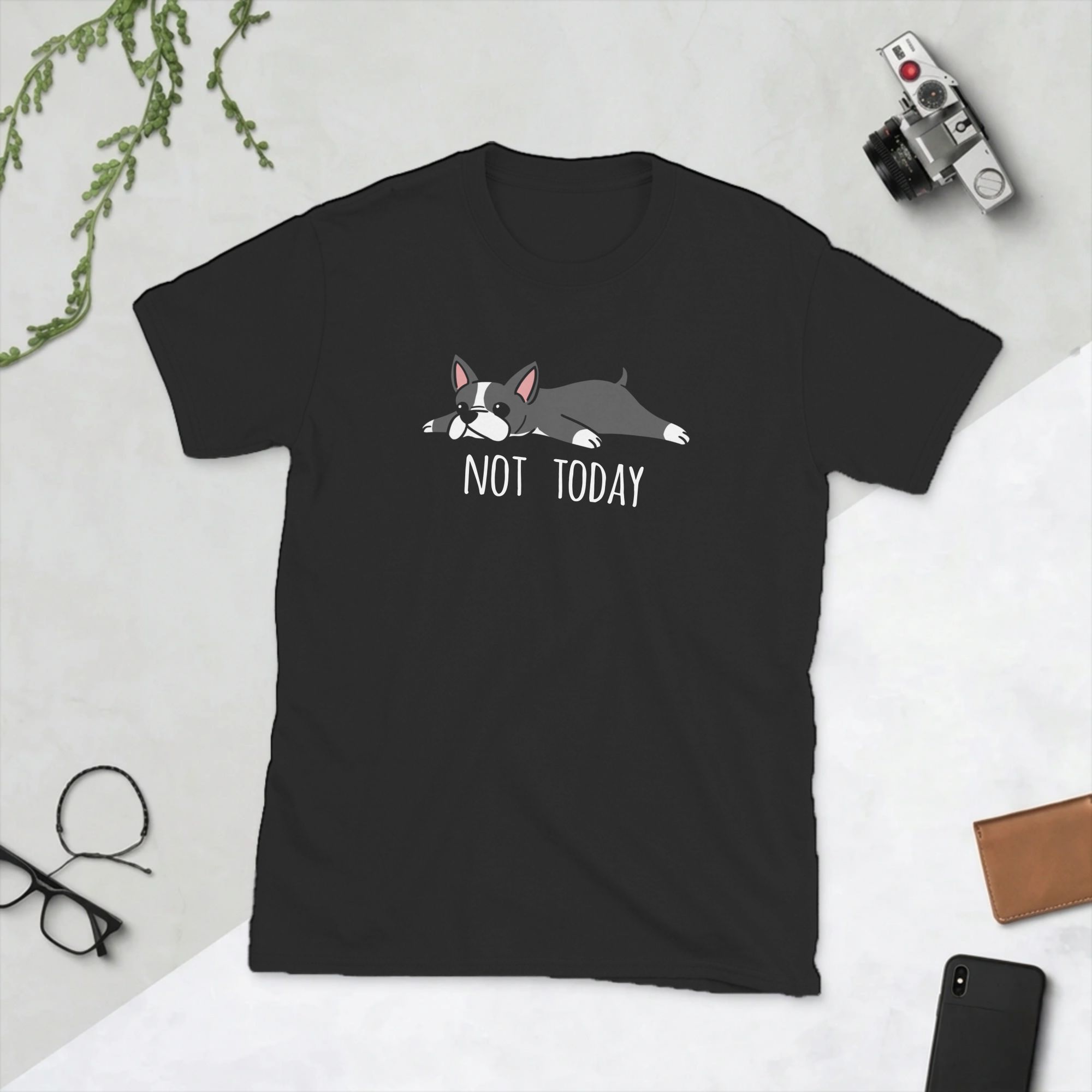 Funny Not Today Boston Terrier - đánh giá và giá Summer Clothing Ideas Men